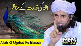 ALLAH Ki Qudrat Ke Manazir  Mufti Tariq Masood