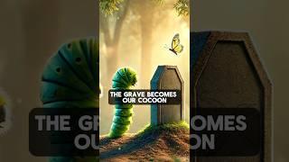 Cocoon and our grave - Islam is a way of life