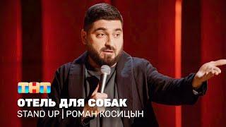 Stand Up Роман Косицын - отель для собак @standup_tnt