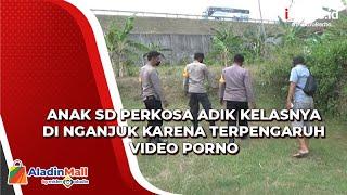 Miris Terpengaruh Video Porno Anak SD Perkosa Adik Kelasnya di Nganjuk