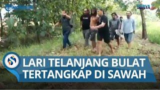 TERDUGA PELAKU PEMBUNUH WANITA CANTIK di Hotel Blora Ditangkap di Tengah Sawah