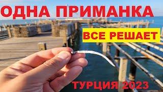 НЕ ЗРЯ ВЗЯЛ СПИННИНГ Морская рыбалка в Турции Рокфишинг в Белеке  Рыбалка на спиннинг Турция