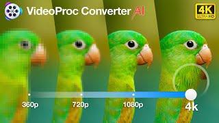 Best way to Upscale & Enhance Low Resolution Image to High Resolution With AI  VideoProc Converter