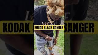 Kodak Black needs to jump on this #kodaktypebeat #kodakblack #shorts