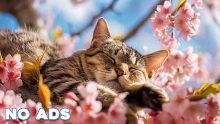 12 Hours Of Music For Cat to Fall Into Deep SleepStress Relief Heal Stress For Cat Soothing Piano