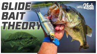 Learn This Glide Bait Theory to Catch More Bass