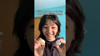 giving my pigeon trinkets episode 8  baby doll head