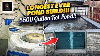 5500 GALLON KOI POND IT TOOK A WHILE...  STUNNING POND.