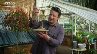 Jamie’s veg-packed noodles  Tesco with Jamie Oliver in partnership with WWF