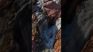 Gunlock Falls #nature #utah #waterfall #spring #desert #relaxing #shorts #scenery #youtubeshorts