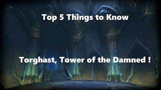 Top 5 Things to Know About Torghast Tower of the Damned  WoW Shadowlands New Feature