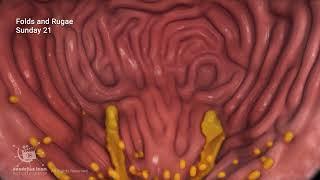 How aging can affect the vagina? trailer version