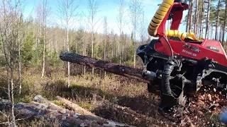 Komatsu 901xc c124 clear cutting swamp area