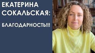 Екатерина Сокальская Благодарность