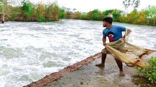 Penangkapan Ikan Jaring yang Luar Biasa - Nelayan vs Jaring Tangkapan Sungai