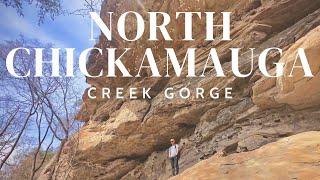 NORTH CHICKAMAUGA CREEK GORGE - CUMBERLAND TRAIL  Chattanooga hiking