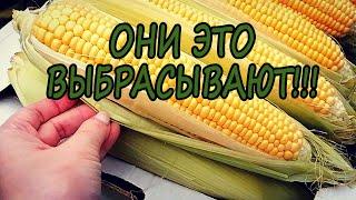 Забрала весь МУСОР у продавца КУКУРУЗЫ и вот что сделала  Природный материал для творчества ТАЛАШ