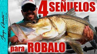 4 Señuelos para pescar ROBALO - 2022