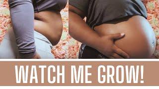 WEEK BY WEEK PREGNANCY BELLY PROGRESSION  Pregnancy Belly Transformation