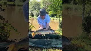 #fishing #carpbasics #fishingrig #carp #fishingtackle #carping #hairrig #angler #carptalk  watch now