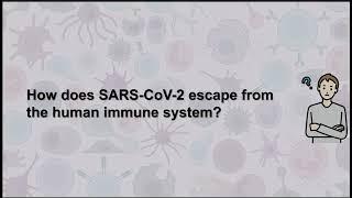 BioEssays NLRC5MHC class I transactivator A key target for immune escape by SARS-CoV-2