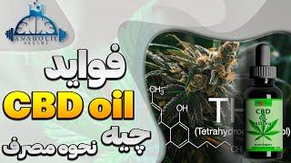 CBD oil چیست و فواید ان برای بدنساز ها