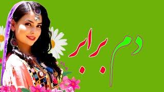 دم برابر بهترین آهنگ هزارگی جدید از امان لعلی New Hazaragi Song By Aman LaLi #AminTakhti