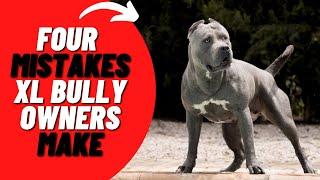 4 Common Mistakes XL American Bully Owners Make and How to Avoid Them