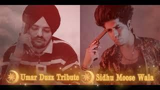 Tribute To Sidhu Moose Wala 295 Song Umar Duzz