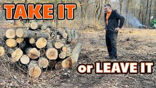 FREE Firewood - Do I Need More?