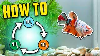 Best Nitrogen Cycle Guide for Beginners Different Methods Explained