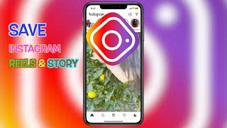 How to save Instagram Reels Story FREE in iPhone