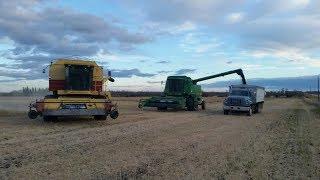 Tough Canola and Dryer troubles...