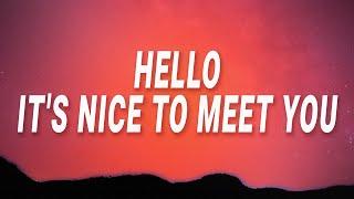 Black Gryph0n - Hello its nice to meet you INSANE Lyrics ft. Baasik