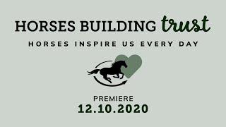 Horses Building Trust teaser