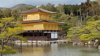 Kinkakuji - The Golden Pavilion in Kyoto Japan