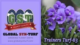 Best Artificial Grass - Trainers Turf-63