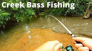 Bass Fishing in SMALL Creeks How to and My Helpful Tips