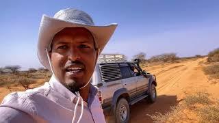 Deegaanada dhoqoshay  iyo balidhiig ee  hawdka  Burco somaliland