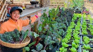 Growing to beautify my home vegetable garden