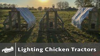Lighting Chicken Tractors - Terry Olson
