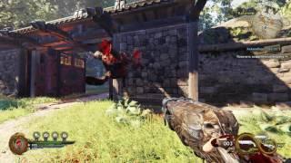 Shake the ass  Shadow Warrior 2