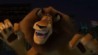 Madagascar 2005 - Alex and Marty are Singing.