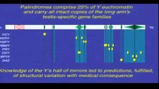 Sex Chromosome Evolution and Medicine - David Page