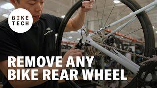 How To Remove the Rear Wheel on a Bike  Bike Tech  The Pros Closet