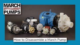 March Series 7 Pump Disassembly