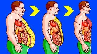 14 Cara Hilangkan Lemak Perut Tanpa Harus Olahraga