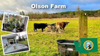 Olson Farm