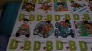 Dragon Ball Evergreen edition completo