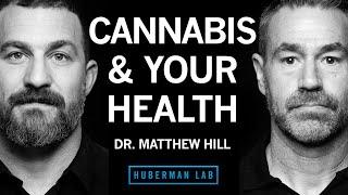 Dr. Matthew Hill How Cannabis Impacts Health & the Potential Risks